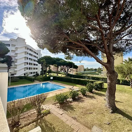 Typical 4 With Pool By Homing